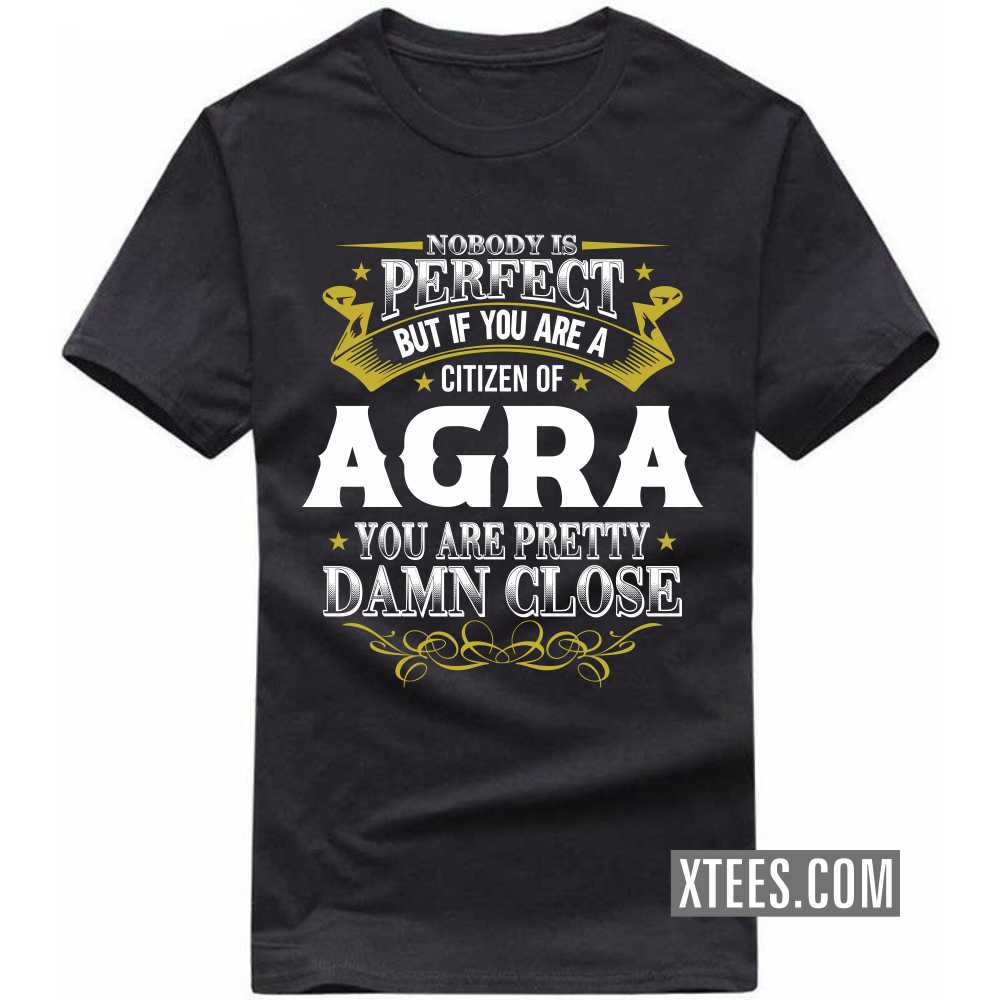 Nobody Is Perfect But If You Are A Citizen Of Agra You Are Pretty Damn Close India City T-shirt Nobody Is Perfect But If You Are A Citizen Of Agra You Are Pretty Damn Close India City T-shirt