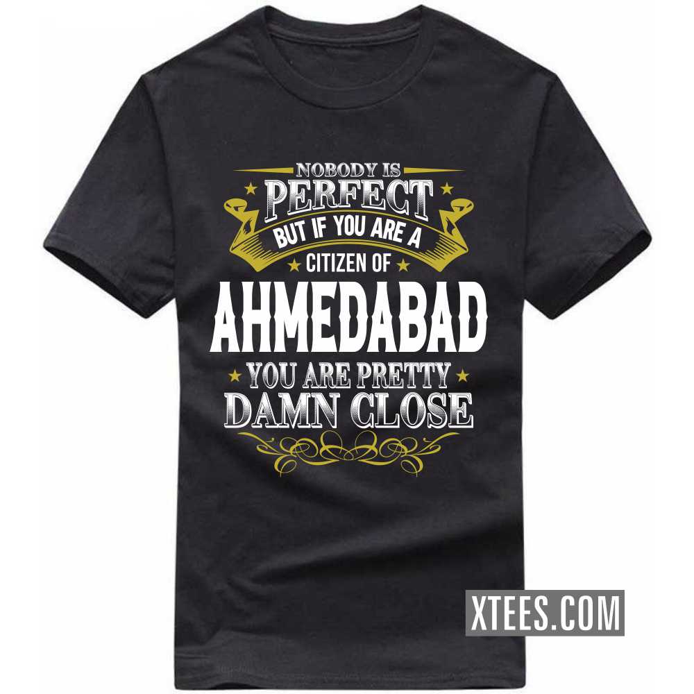Nobody Is Perfect But If You Are A Citizen Of Ahmedabad You Are Pretty Damn Close India City T-shirt Nobody Is Perfect But If You Are A Citizen Of Ahmedabad You Are Pretty Damn Close India City T-shirt