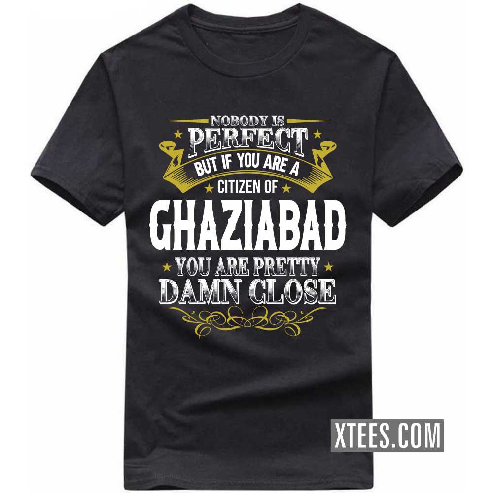 Nobody Is Perfect But If You Are A Citizen Of GHAZIABAD You Are Pretty Damn Close India City T-shirt