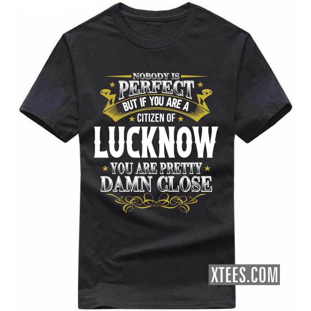 Nobody Is Perfect But If You Are A Citizen Of LUCKNOW You Are Pretty Damn Close India City T-shirt