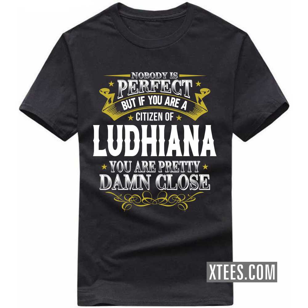 Nobody Is Perfect But If You Are A Citizen Of LUDHIANA You Are Pretty Damn Close India City T-shirt Nobody Is Perfect But If You Are A Citizen Of LUDHIANA You Are Pretty Damn Close India City T-shirt