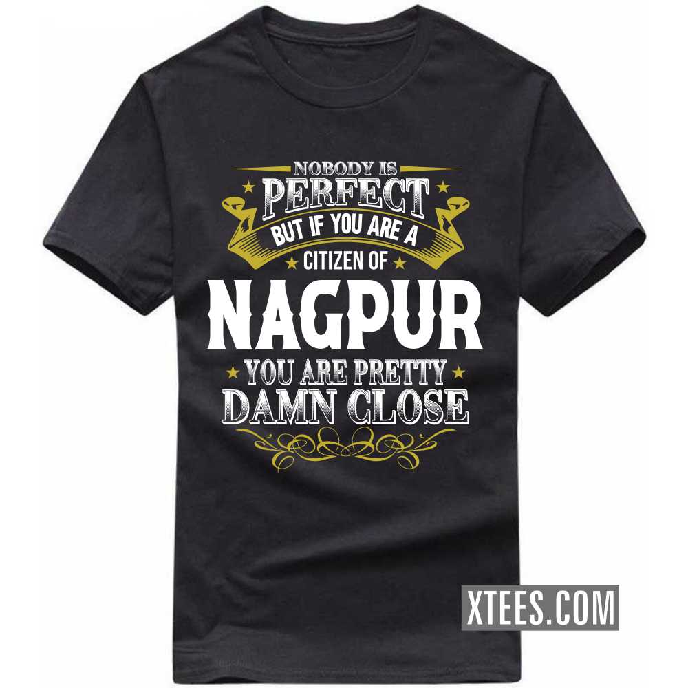 Nobody Is Perfect But If You Are A Citizen Of NAGPUR You Are Pretty Damn Close India City T-shirt