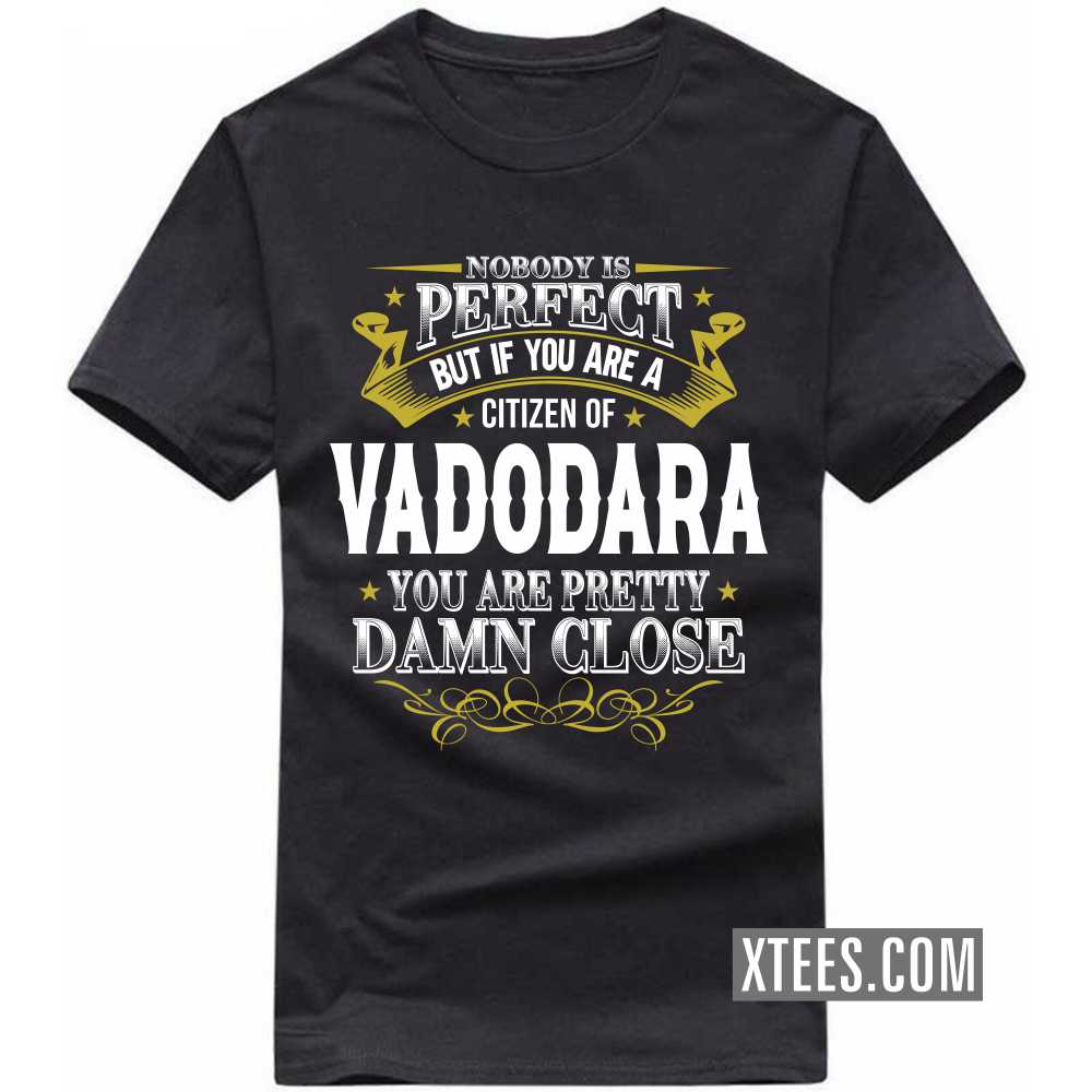 Nobody Is Perfect But If You Are A Citizen Of VADODARA You Are Pretty Damn Close India City T-shirt